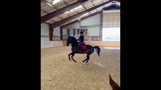 Revel Ranch Training Session with Fledermaus Sept 2024 [upl. by Nipha]