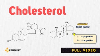 Cholesterol Biosynthesis Pathway  Lipid Biochemistry  VLearning™ [upl. by Timon488]