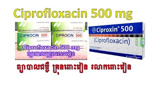 Ciprofloxacin 500 mg ព្យាបាលគ្រុនពោះវៀន [upl. by Cooperman]