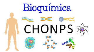 🧬 ¿Qué es la Bioquímica ⚗️ Y su IMPORTANCIA 🧫 Fácil y Rápido  BIOLOGÍA  QUÍMICA [upl. by Idzik]