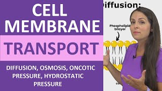 Cell Membrane Transport Passive amp Active Diffusion Osmosis Hydrostatic Oncotic Pressure Colloid [upl. by Izabel]