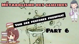 Métabolisme des glucides  voie des pentoses phosphat part 6 [upl. by Marie]