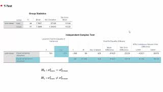 Onafhankelijke ttoets  Output [upl. by Glavin]