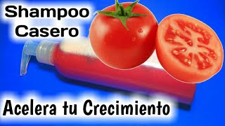 SHAMPOO DE TOMATE PARA ACELERAR EL CRECIMIENTO DEL CABELLO pelocasero2 [upl. by Euqimod]