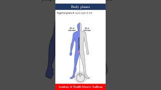 Body planes  Basic anatomy  by Imran Yaseen [upl. by Eeleak]