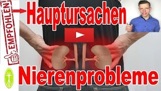 TOP 9 Ursachen für Nierenprobleme Nierenerkrankungen Nierensteine  Ernährung und Gesundheit [upl. by Lilah]