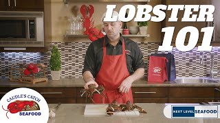 How to cook a live lobsterand more [upl. by Dnesnwot]