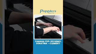 Clementi by Sonatina  Performed by Jenna from Popplers Music on Yamaha Arius YDP105 [upl. by Anaiviv]