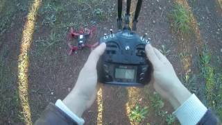 Walkera Rodeo BNF new demo short flight Courtesy Gearbest [upl. by Prichard143]