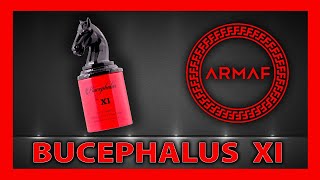 🚀ARMAF BUCEPHALUS XI  CLONES de PERFUMES de nicho  FRAGANCIAS ECONÓMICAS [upl. by Annnora142]