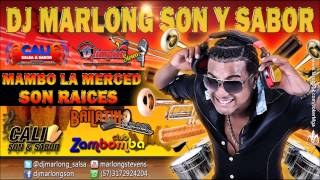 El Mambo La Merced  Son Raices  DJ Marlong Son y Sabor 2014 [upl. by Ahsuatan]