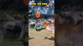 The foxes misbehaved with the baby foxes 😔shorts short youtubeshorts viralvideo [upl. by Tiler]