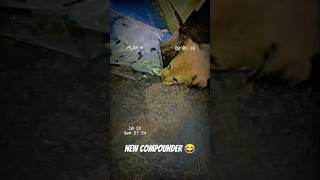 New compounder 😀🤣newvlog vlogminivlog comedy newdoglover dogfunvoice [upl. by Grannias972]