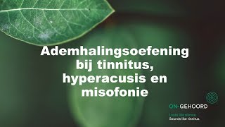 Ademhalingsoefening bij tinnitus hyperacusis en misofonie [upl. by Bergin]