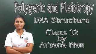 Polygenic Inheritance and Pleiotropy DNA structure Class 12 CBSE [upl. by Reiche]