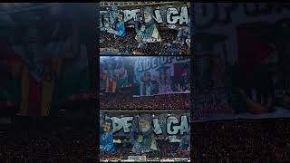 Esperance de Tunis vs Al Ahly  Tifo Curva Sud Tunisi 18052024 الترجيالرياضيالتونسي [upl. by Acinomahs381]