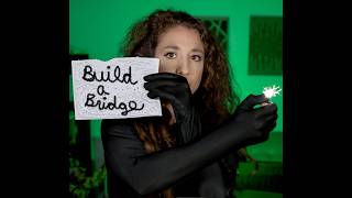 Build a Bridge Visualizer  NEW RECORDING RELEASE  Aviva and the Flying Penguins [upl. by Kantor629]