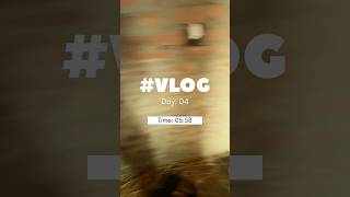 Vlog Day 04 in Bihar imamarpatel ytshorts [upl. by Vieva]