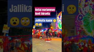 Kottai mariamman Kovil thiruvila 🙏 jallikattu 🙄🤫😮😮trendtrending shortskottaimariammanjallikattu [upl. by Eatnahc]