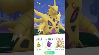 Shiny Mega Tyranitar Evolution Line vs TGR Leader Cliff in Pokemon GO [upl. by Llig267]