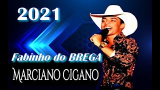 Marciano Cigano 2021 só as Melhores [upl. by Aleacim374]