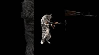 Cat reloading AK47 but it’s illegally REALISTIC animation cats memes [upl. by Noryd415]