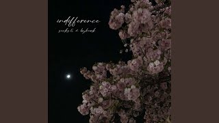 indifference [upl. by Vassaux]