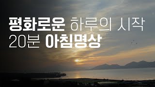 평화로운 아침을 여는 20분 요가니드라  요가소년 384 [upl. by Kisung]