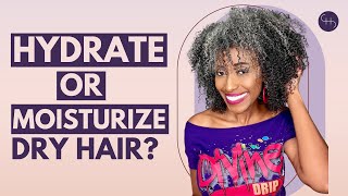 Say Goodbye to Dry Hair with This Moisture Hack [upl. by Nyleikcaj127]