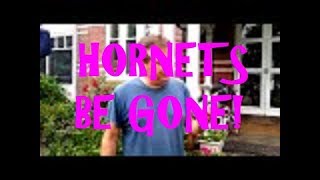 How to Destroy a Hornets Nest  MORE frugal family fun [upl. by Nahgaem415]