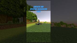 Einfache und effektive Zuckerrohrfarm in Minecraft bauen minecraft zuckerrohrfarm einfach [upl. by Neville]