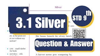 9th Std  English  Chapter 31 Silver warming up and English workshop answers  Maharashtra board [upl. by Ainorev]