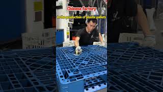 Plastic tray Chinese factory pallet manufacturer [upl. by Sabu]