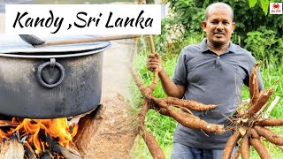 Traditional Boiled Manioc Recipe in Simple Wayඋඩරට මහවැලි ගග මැද තැම්බු රසම රස මඤ්ඤොක්කා [upl. by Mali]