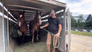 Allegany county fair horse pull Farm class [upl. by Atikir]