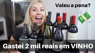 Trazer Vinhos da Argentina  VALE A PENA QUANTO CUSTA [upl. by Franciscka]