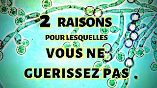 2 RAISONS POUR LESQUELLES VOUS NE GUÉRISSEZ PAS HYPOTHYROÏDIE ET ACIDITÉ GASTRIQUE [upl. by Cilegna]