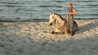 Reiten am Strand [upl. by Atnoved]