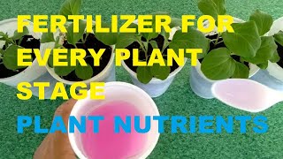 FERTILIZER FOR EVERY PLANT STAGE  PLANT NUTRIENTS  WHICH FERTILIZER TO USE ON EACH PLANT STAGE [upl. by Malissa121]