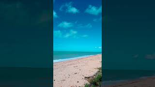 praia ALCOBAÇA BAHIA BRASIL 🇧🇷🌴🌴🌴🌴🌴 [upl. by Boys]