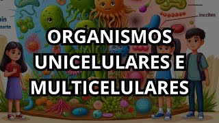 Organismos Unicelulares e Multicelulares [upl. by Farkas710]