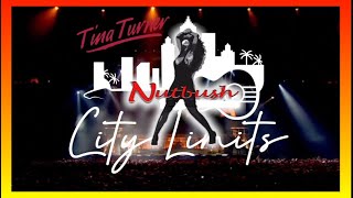 Tina Turner  Nutbush City Limits 1973 lyrics [upl. by Marelda]