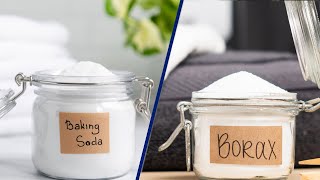 Baking Soda Vs Borax for Toilet Cleaning  Which Really Are Better 2024 [upl. by Axela]