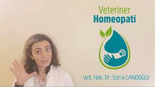 Homeopatik anamnez Bir veteriner homeopat nasıl hasta bakar [upl. by Luane]