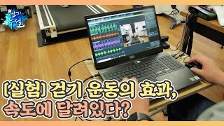 실험 걷기 운동의 효과 속도에 달려있다 MBN 221021 방송 [upl. by Kehr]