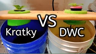 Kratky Vs DWC Hydroponics Competition Which One Is Better [upl. by Ellene]