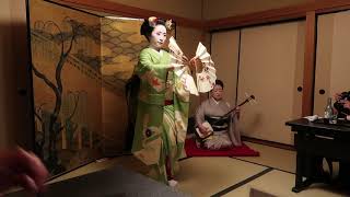 Geisha show amp Dinner Gion Hatanaka Kyoto Japan [upl. by Hummel272]