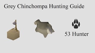 OSRS  Grey Chinchompa Hunting Guide  Quick guide [upl. by Alad65]