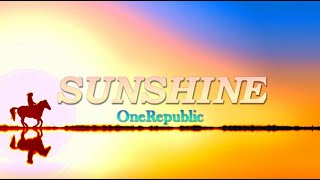 OneRepublicSUNSHINETraduzione Italiana [upl. by Sweeney]