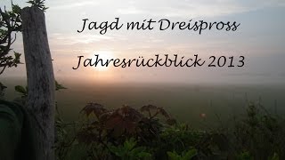 Jagd 2013  Jahresrückblick auf Drückjagd und mehr [upl. by Rodgiva397]